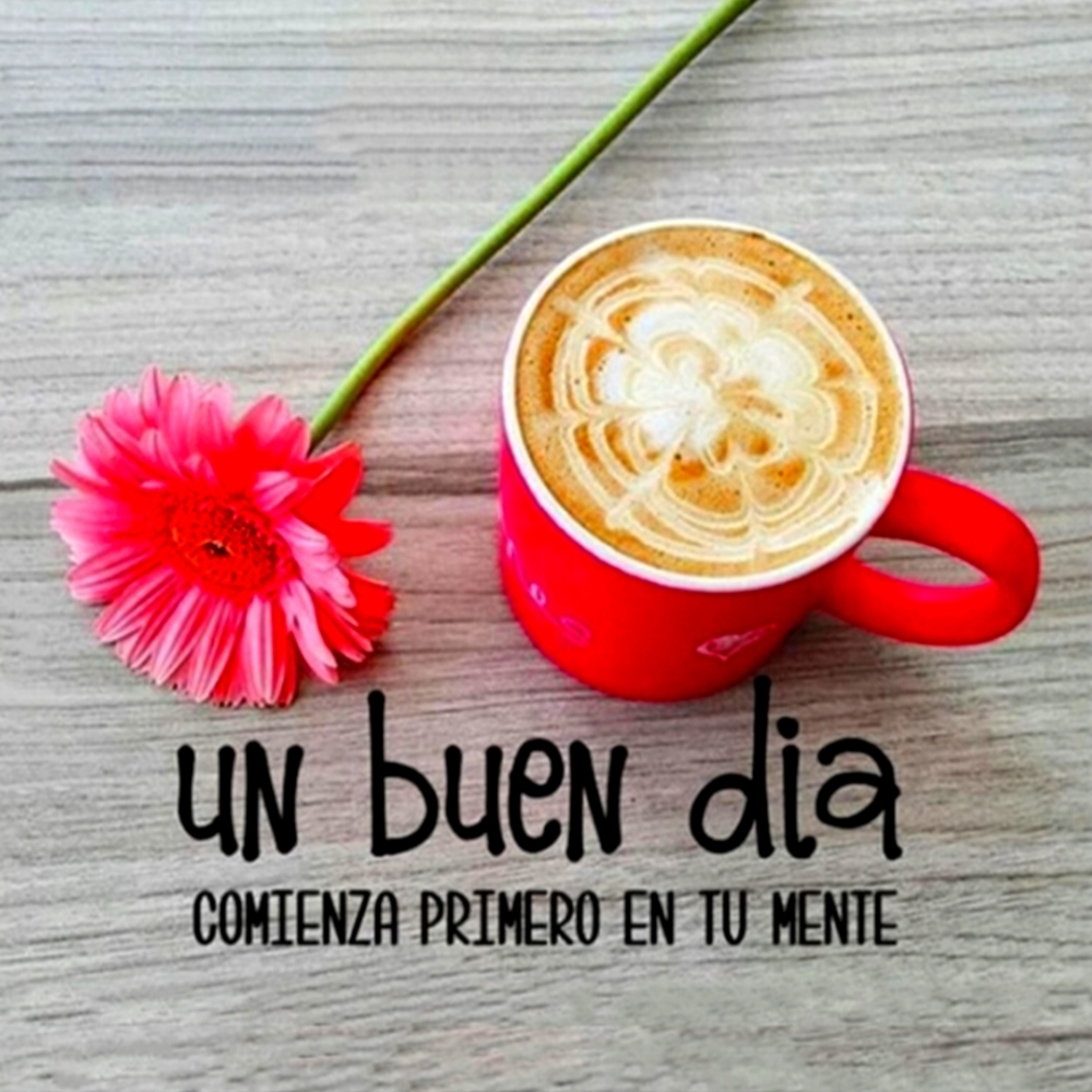 Meet your Posher, Darianna